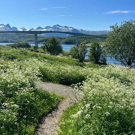캠프장 Saltstraumen Fjordhytter