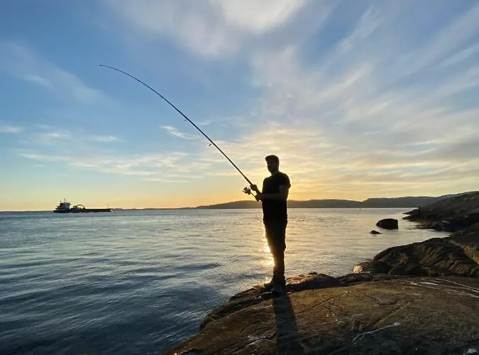 Saltstraumen Fjordhytter Knapplund
