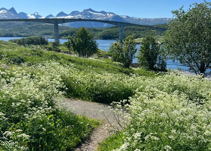 Campingplatz Saltstraumen Fjordhytter